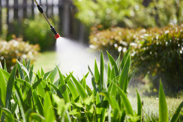 Tamper-Resistant Bait Stations for Rodents in Leilani Estates