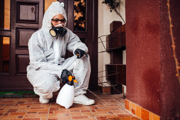 Attic and Crawl Space Rodent Treatment in Leilani Estates
